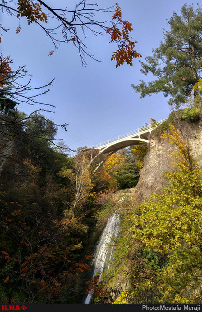 گزارش اختصاصی ایلنا از پاییز در باغ بوتانیکال تفلیس