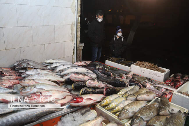 تهران در آستانه شب یلدا