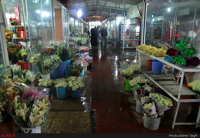 بازار گل و گیاه تهران در آستانه نوروز