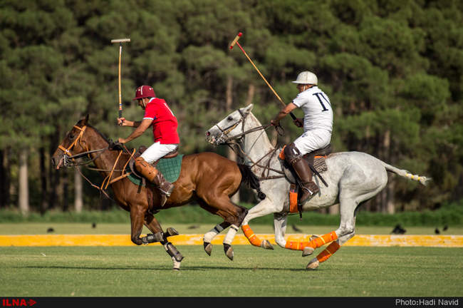 مسابقات چوگان جام قهرمانی کشور ۱۳۹۵: نزاجا-قصرفیروزه