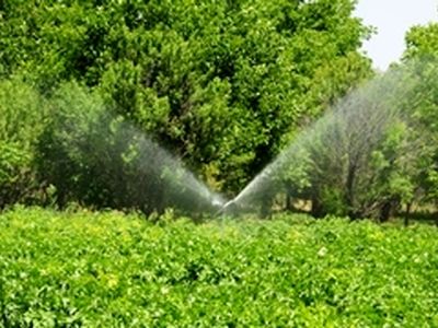 ۲۰۰ هکتار اراضی کشاورزی آذرشهر از آبیاری تحت فشار برخوردار هستند