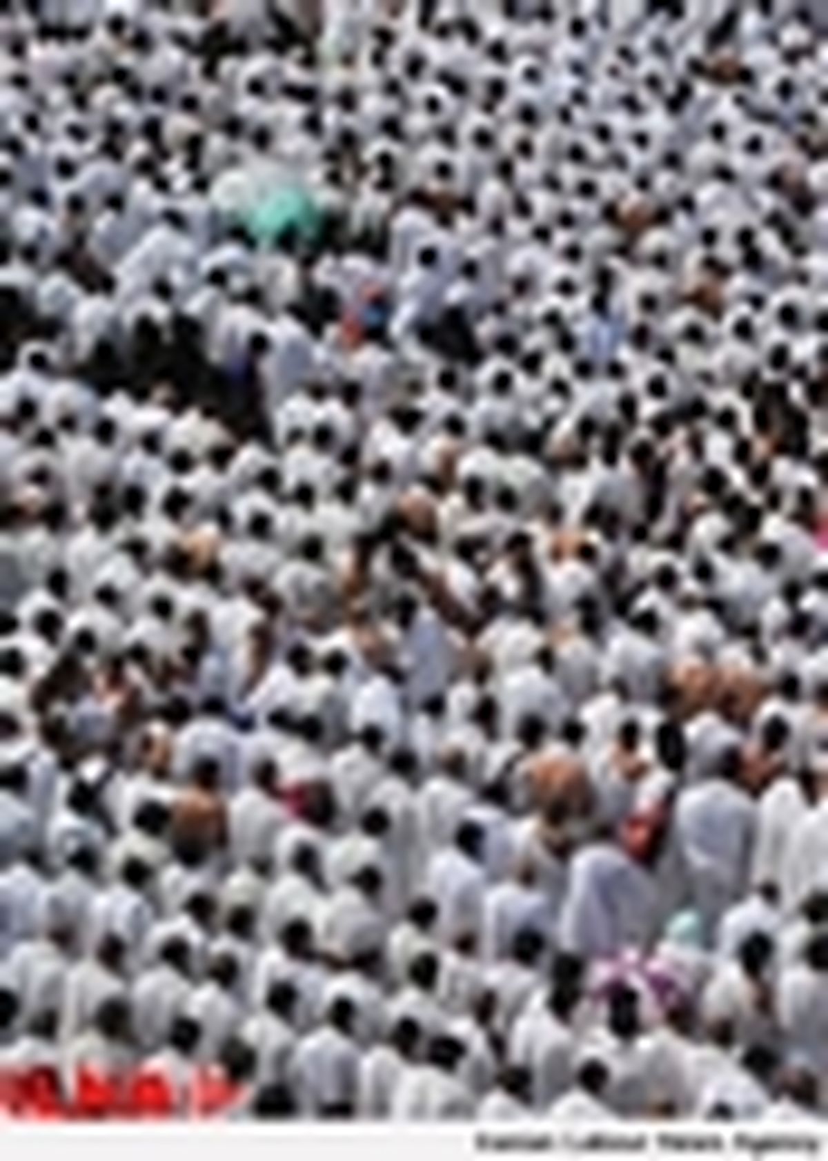 برگزاری مراسم مناجات و دعای عرفه در دارالزهرا