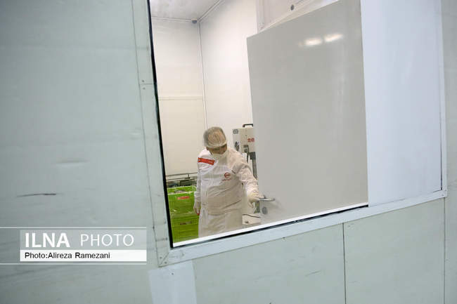 خط تولید ماسک و مواد ضد عفونی کننده در کارخانه های نساجی هلال ایران