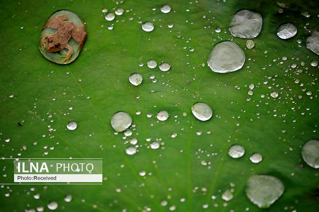 عجیب ترین عکس های سال 2019