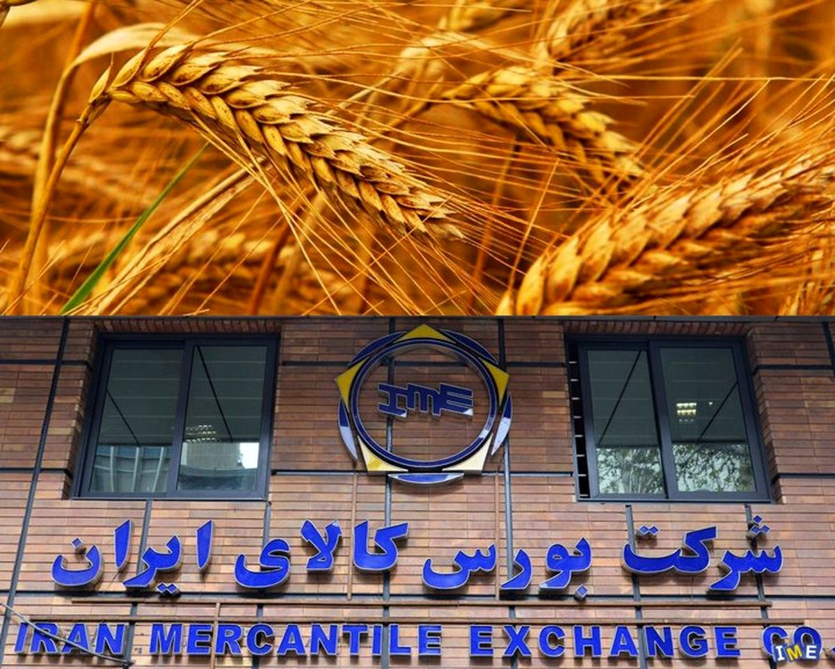 بورس کالا پرداخت مطالبات گندمکاران را آسان‌تر می‌کند/ وزارت کشاورزی مسئول پیامدهای عدم استفاده از بورس کالاست
