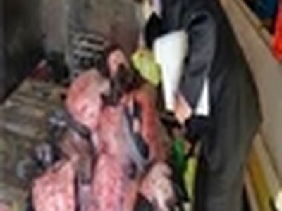 تعطیلی مرکز غیربهداشتی تامین گوشت کباب کوبیده در اصفهان