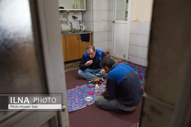 تولید شکر از چغندر قند 