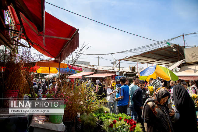 رد پای بهار در بازار گل شهید محلاتی