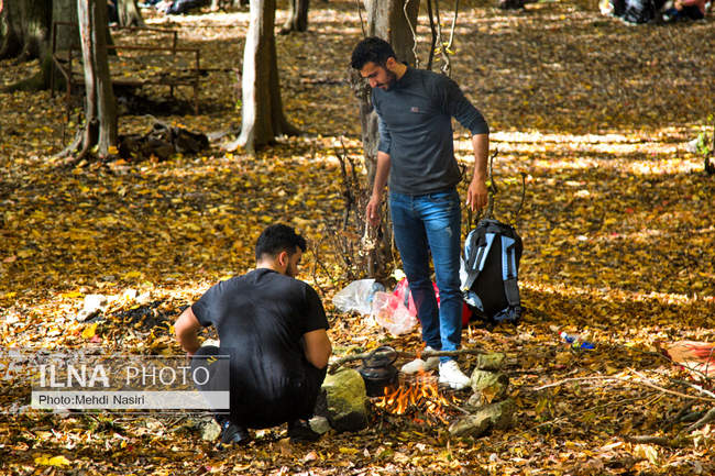 طبیعت پاییزی مرداب هسل