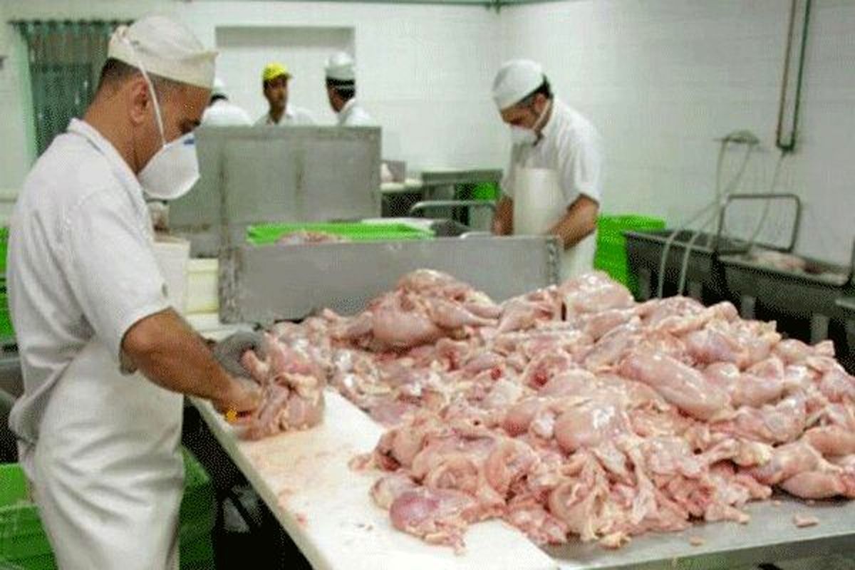 حذف محدودیت عرضه مرغ قطعه بندی شده / سیب و پرتقال دولتی در کاشان توزیع نشد
