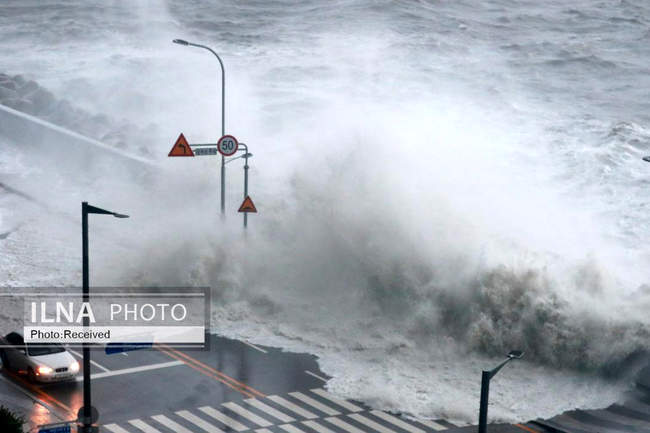 طوفان هینامنور در کره جنوبی 