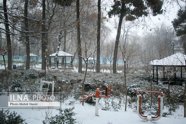بارش برف در تهران