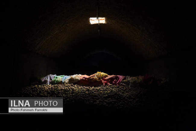 اشتغالزایی در مزارع کشاورزی سیب زمینی فیروزکوه