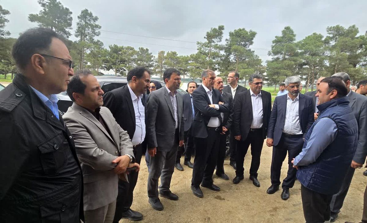 برنامه‌ریزی برای صادرات  محصولات گلخانه ای پارس آباد