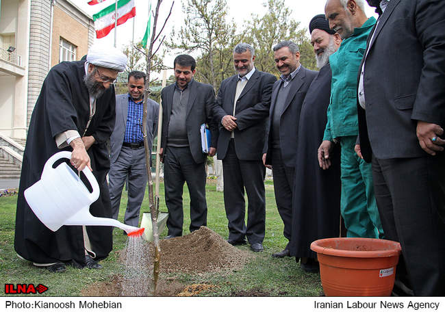 درختکاری رئیس قوه قضائیه