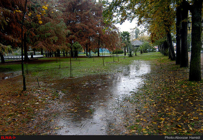 بارش باران در رشت