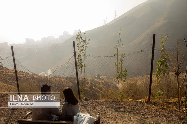 نفسم گرفت از این شهر