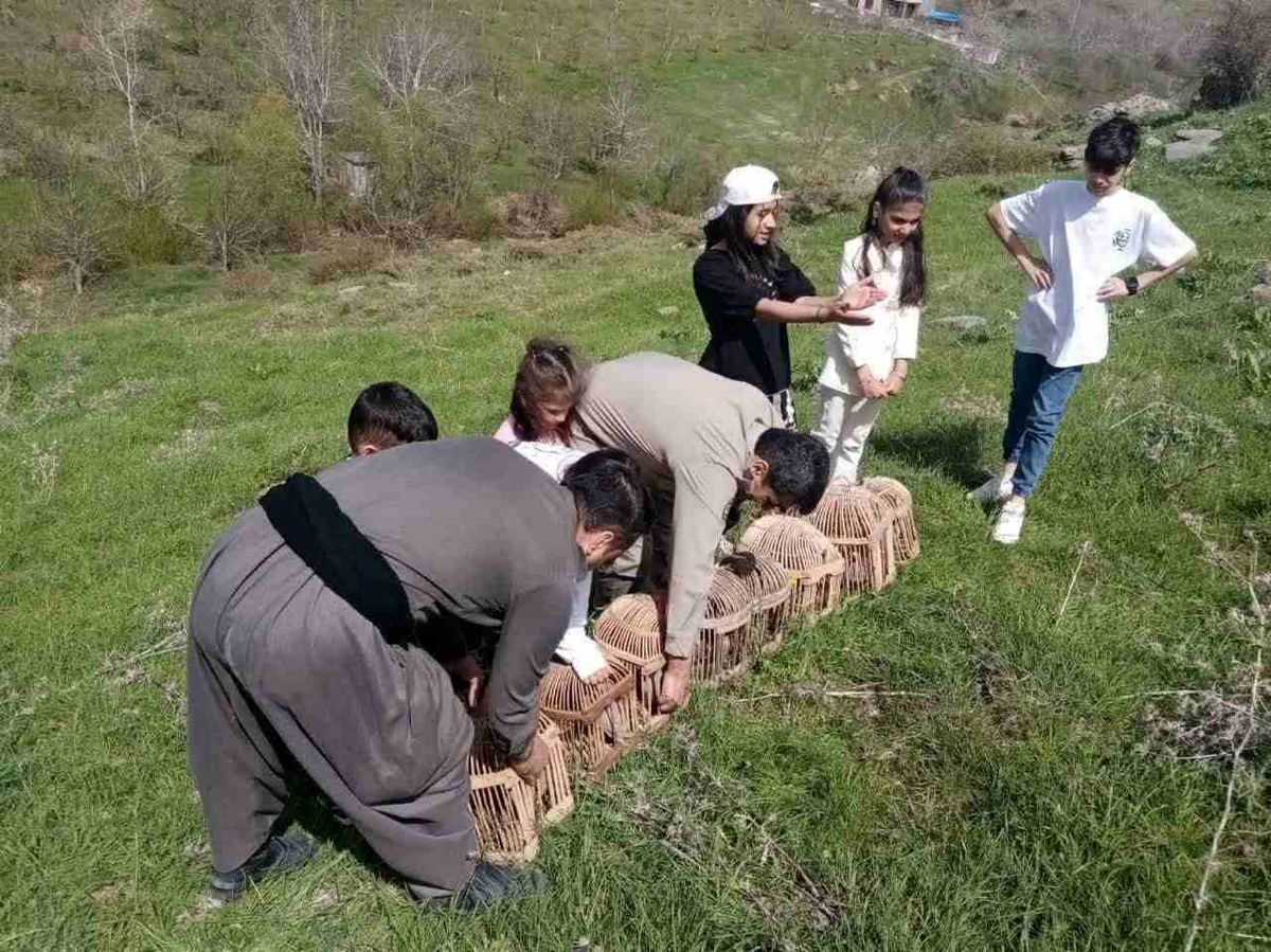 رهاسازی ۸ قطعه کبک در طبیعت سردشت