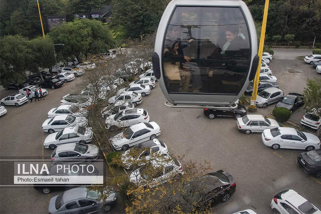 چشم انداز جنگل و دریا در قاب طبیعت