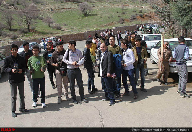 نهال کاری در دامنه کوه آبیدر سنندج 