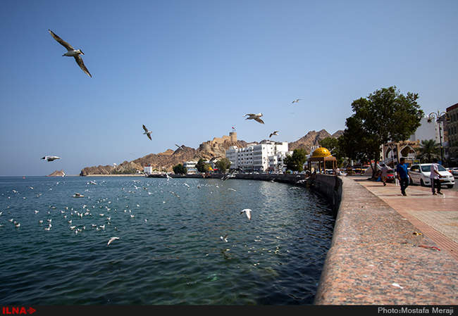     گزارش اختصاصی ایلنا از جاذبه های گردشگری مسقط پایتخت کشور عمان
  