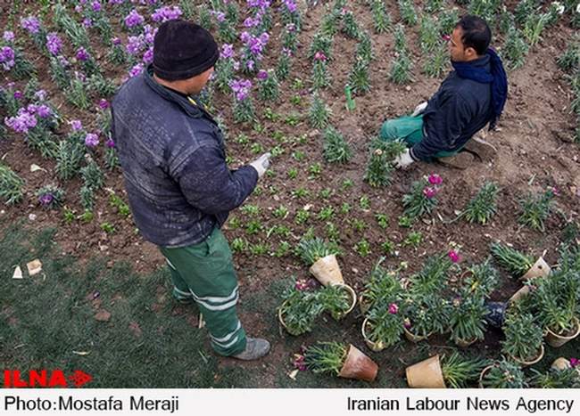 استقبال از بهار