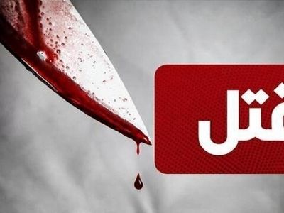 قتل تور لیدر جوان توسط یک توریست در تهران