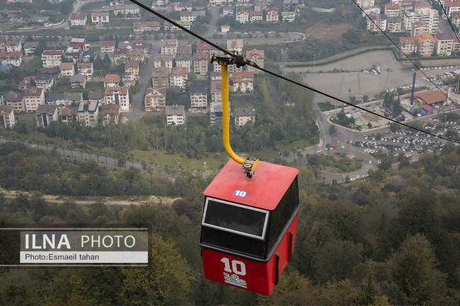 چشم انداز جنگل و دریا در قاب طبیعت