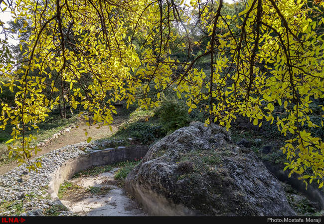 گزارش اختصاصی ایلنا از پاییز در باغ بوتانیکال تفلیس