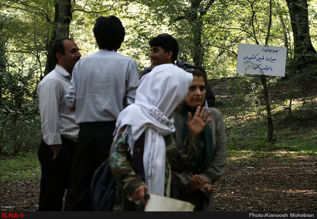 سفر معصومه ابتکار به استان مازندران به مناسبت روز حفاظت از جنگل ها