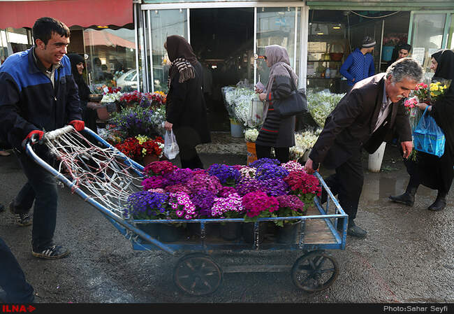 بازار گل و گیاه تهران در آستانه نوروز